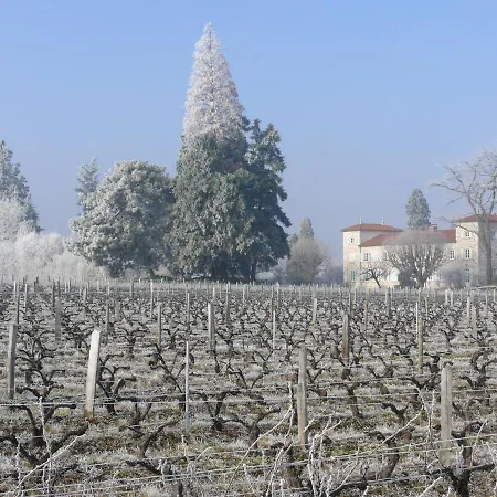 Château De Grandmont D'hôtes 3* Blacé